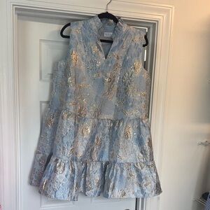 Blue and Silver Dress